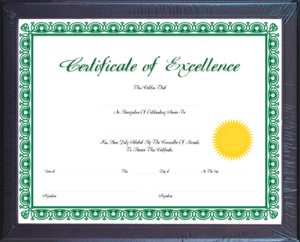 Marco Plastico Bazic C/ Vidrio Porta Diploma 11X14" 