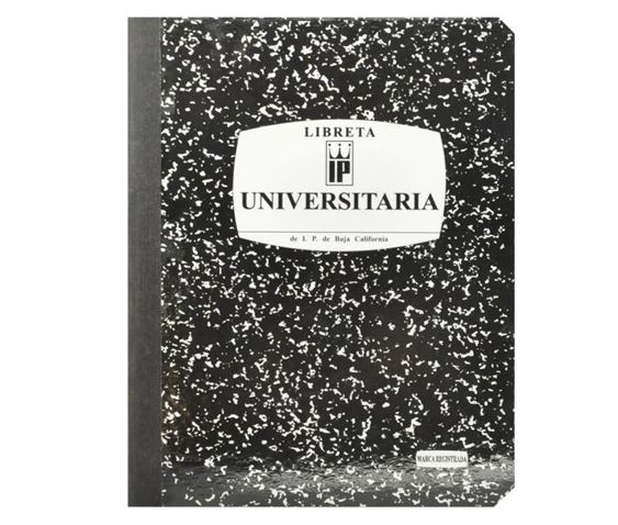 Libreta Ip Universitaria Raya 100 Hojas Grande 1100-R 