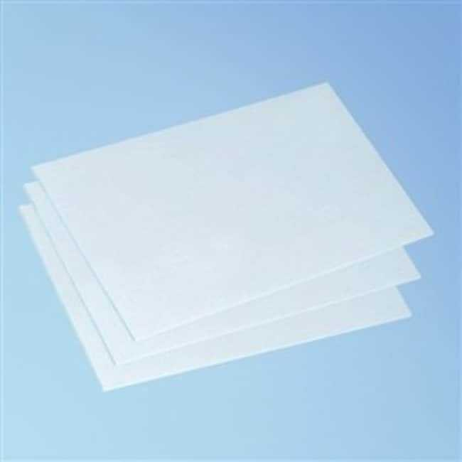 Papel Bond Cuarto Limpio #22 11X17" Blanco 250 Hojas